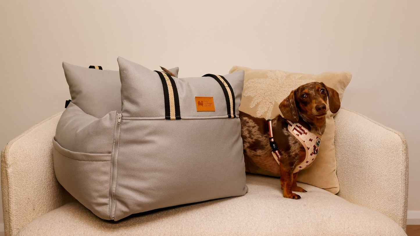 Dog on white couch with grey dog bed. 