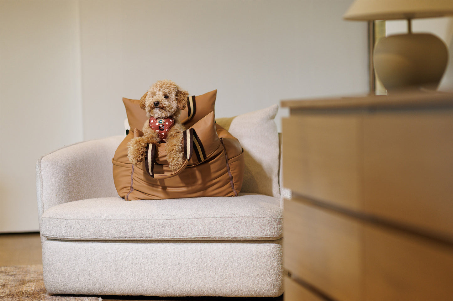Dog in a dog bed on a couch in a room with a lamp and wooden furniture.