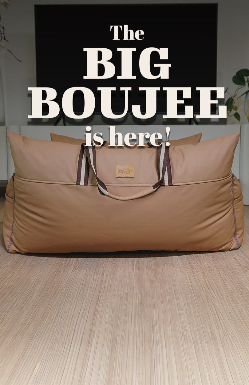 Large dog carrier with a handle on a wooden floor, text overlay 'The BIG BOUJEE is here!'.
